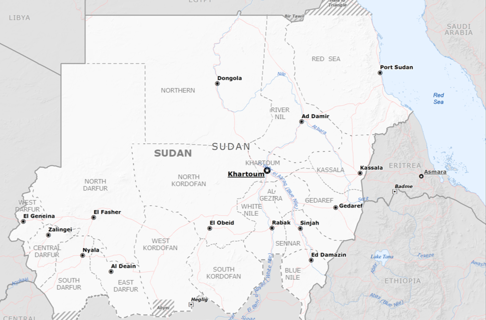 Sudanese Bloodshed: The Human Cost of the War